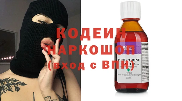 молекула духа Богданович