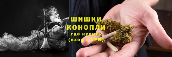 молекула духа Богданович