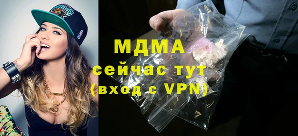 молекула духа Богданович