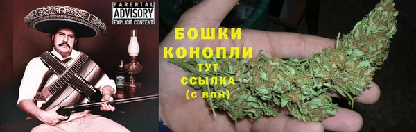 тгк Богородск