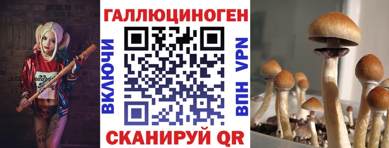 Галлюциногенные грибы Psilocybe  где найти   Верхний Тагил 