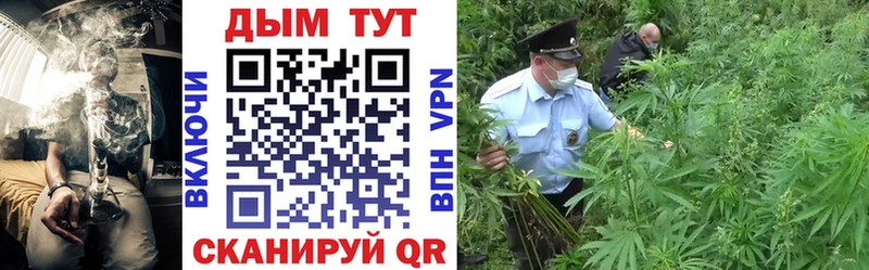закладка  Верхний Тагил  Конопля семена 